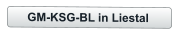 GM-KSG-BL in Liestal
