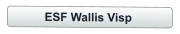 ESF Wallis Visp