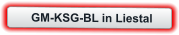GM-KSG-BL in Liestal