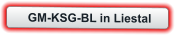 GM-KSG-BL in Liestal