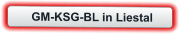 GM-KSG-BL in Liestal