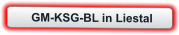 GM-KSG-BL in Liestal