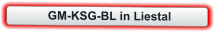 GM-KSG-BL in Liestal