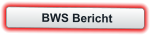 BWS Bericht