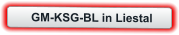 GM-KSG-BL in Liestal