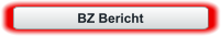 BZ Bericht