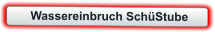 Wassereinbruch SchüStube