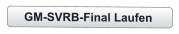 GM-SVRB-Final Laufen